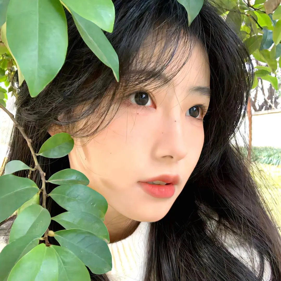 雨色可可第二季